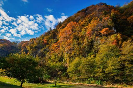 長野県庁横の裾花峡温泉を彩る秋の風景 紅葉,秋,絶景の写真素材