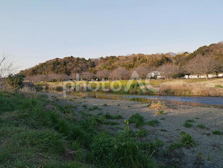 夕方の川の景色 夕方,川,自然の写真素材