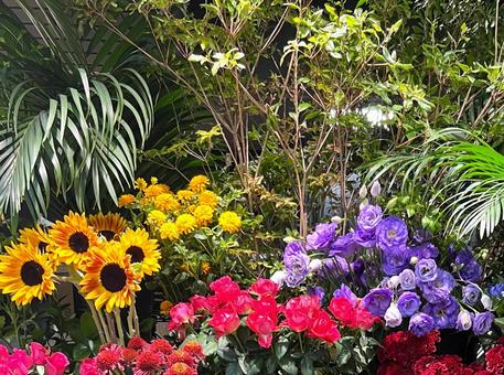 フラワーショップ フラワーショップ フラワーショップ,花,風景の写真素材