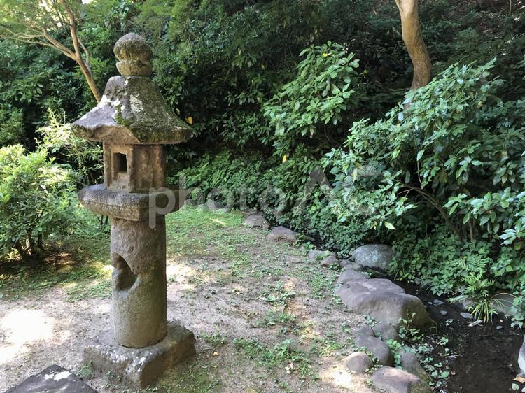 三溪園の風景 三溪園,緑,新緑の写真素材