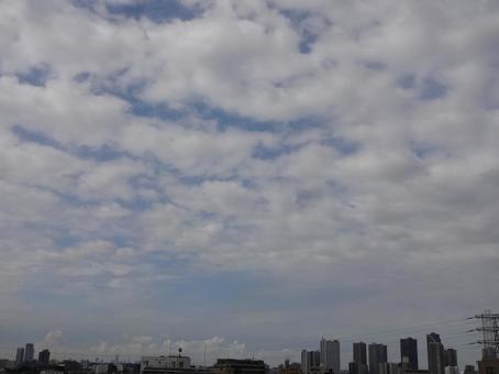 雲の波 遥か彼方より 雲の波 遥か彼方よりの写真
