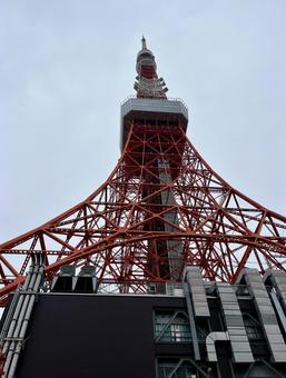 東京タワー 東京タワー,333m,電波塔の写真素材