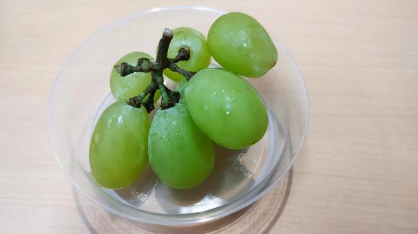 シャインマスカット シャインマスカット,マスカット,ぶどうの写真素材