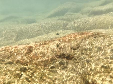 Underwater in a crystal clear mountain stream ⑪, JPG Underwater in a crystal clear mountain stream ⑪, JPG