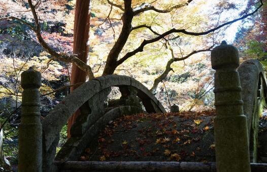 落ち葉が美しい石橋 紅葉,もみじ,カラフルの写真素材