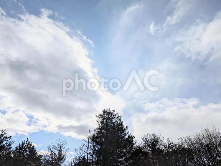 空と木 空,木,冬の写真素材