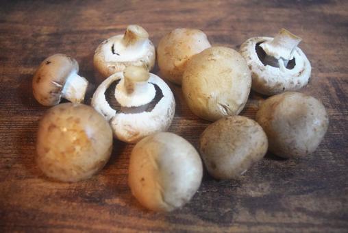 食材のブラウンマッシュルーム マッシュルーム,きのこ,キノコの写真素材