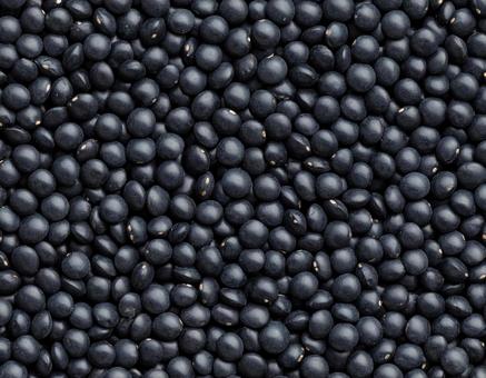 黒レンズ豆の拡がり 黒レンズ豆の拡がりの写真