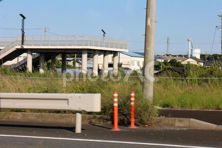 松林の防風林が見える津波避難タワー 津波避難タワー,津波避難,津波の写真素材