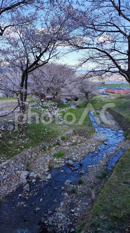 霞間ヶ渓の自然は、あなたの心を包み込む 霞間ヶ渓,かまがたに,岐阜県の写真素材