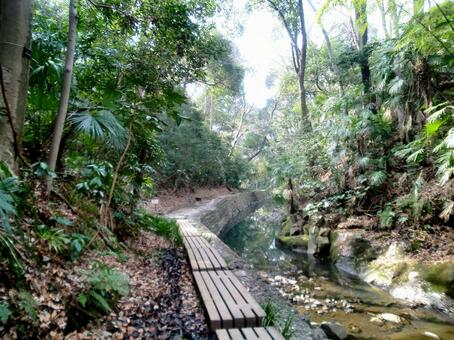 Valley Path, valley, natural, green, JPG