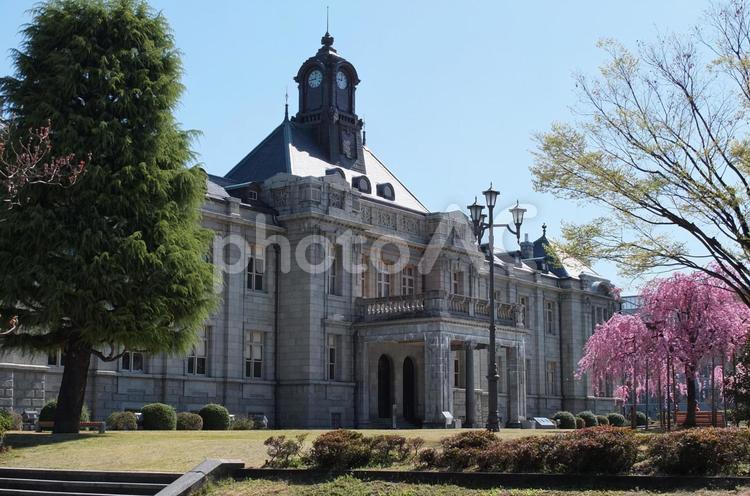 桜と文翔館(山形旧県庁) 文翔館,桜,旅行の写真素材