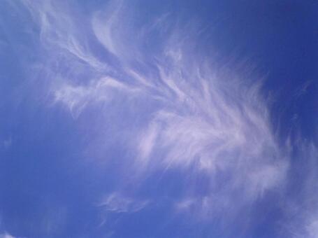 青空と雲 青空と雲の写真