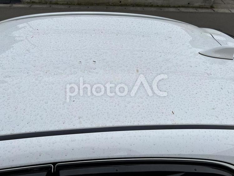 黄砂で汚れたルーフ 車,屋根,ルーフの写真素材