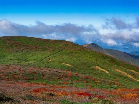 紅葉の栗駒山(須川岳) 紅葉の栗駒山(須川岳) 栗駒山,須川岳,紅葉の写真素材