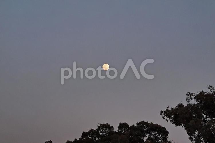 満月間近の月 月,満月,小望月の写真素材