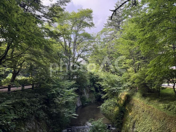 軽井沢 軽井沢,長野,高原の写真素材