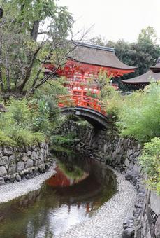 賀茂御祖神社(下鴨神社)御手洗川 賀茂御祖神社(下鴨神社)御手洗川 賀茂御祖神社,下鴨神社,御手洗川の写真素材