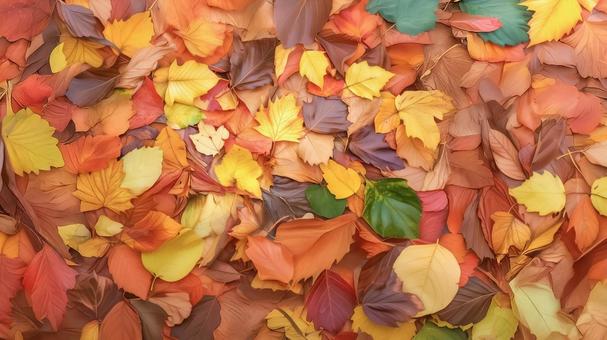 敷き詰められた暖色系の落ち葉の背景画像 敷き詰められた暖色系の落ち葉の背景画像の写真