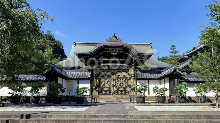 建長寺　唐門と蓮 鎌倉,建長寺,北鎌倉の写真素材