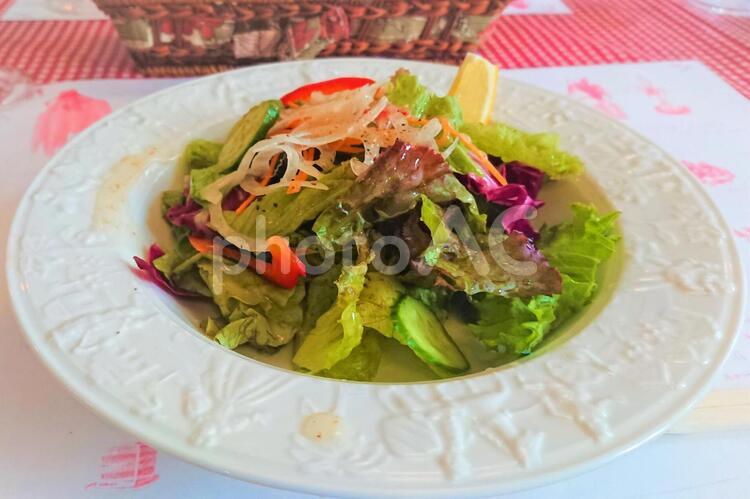食べ物　野菜サラダ サラダ,野菜,カット野菜の写真素材