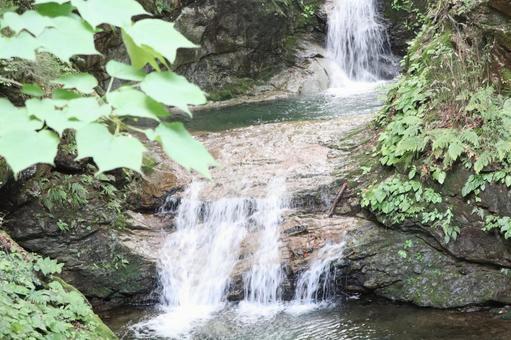 栃木県の古釜の滝 栃木県の古釜の滝 栃木,滝,自然の写真素材