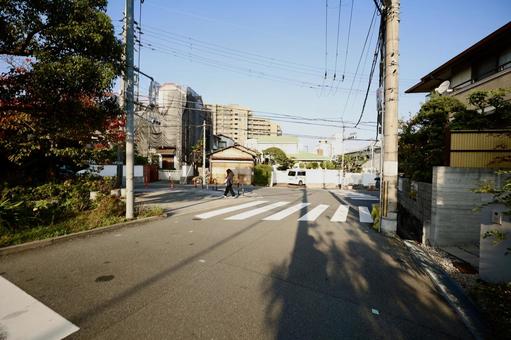 木の影が道路に映る 交差点,影模様,路十字の写真素材