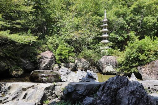 久安寺 芳泉庭 久安寺 芳泉庭の写真