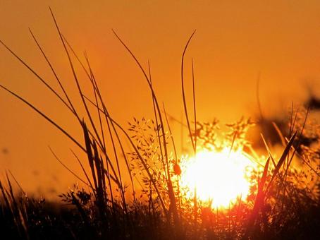 夕焼け空の風景 夕暮れ,空,雲の写真素材