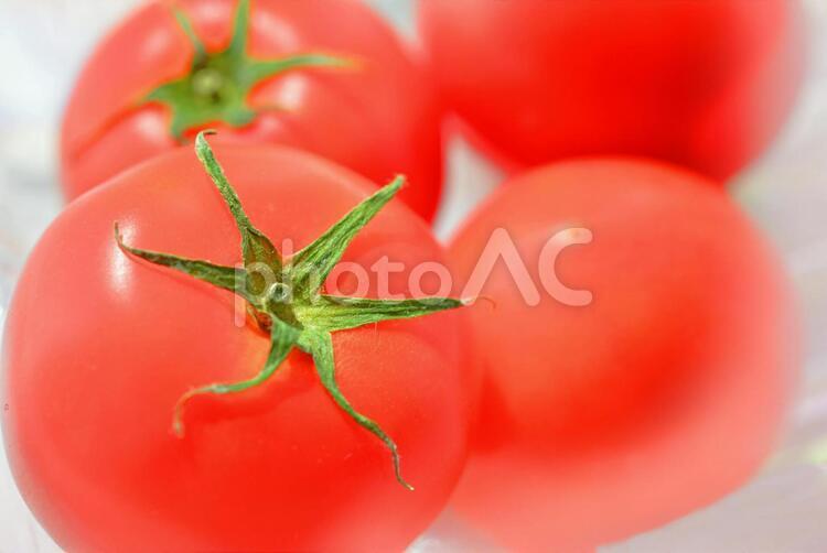複数のトマト 野菜,トマト,完熟トマトの写真素材