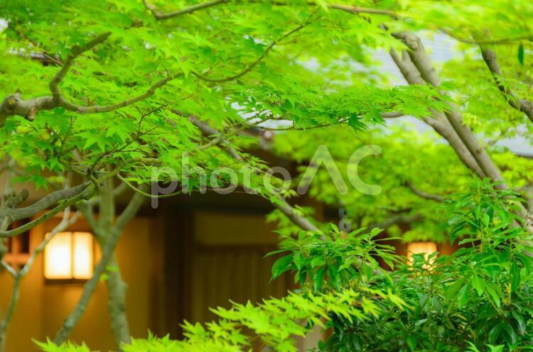 住宅のイメージ 住宅,家,住まいの写真素材