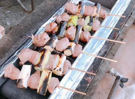 Photo, negima skewers, skewer, casilla skewers, 