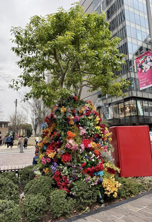 日比谷のフラワーアート 花,東京,日比谷の写真素材