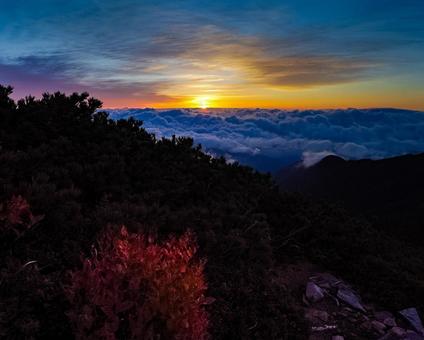 雲海朝焼け 雲海朝焼けの写真