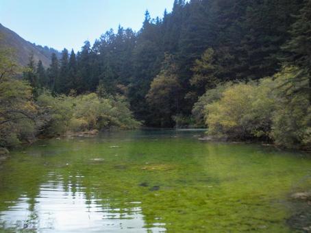 森に囲まれた透明な湖の静かな風景 森に囲まれた透明な湖の静かな風景の写真