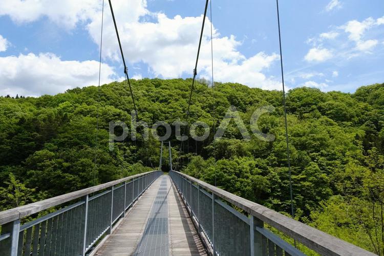 横川渓谷　春（初夏）の新緑の風景 横川渓谷,絶景,名勝の写真素材