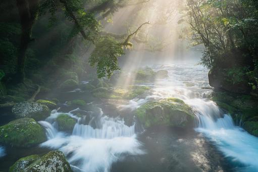熊本-【菊池渓谷の光芒】 熊本,菊池渓谷,川の写真素材