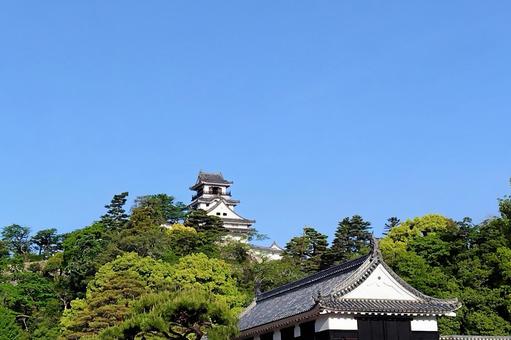 【高知県】高知城 【高知県】高知城 高知城,天守閣,高知の写真素材