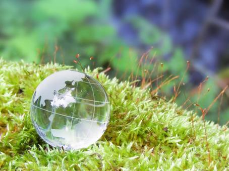 エコイメージ-ガラスの地球儀と苔むした幹 エコイメージ-ガラスの地球儀と苔むした幹 地球,地球儀,エコの写真素材