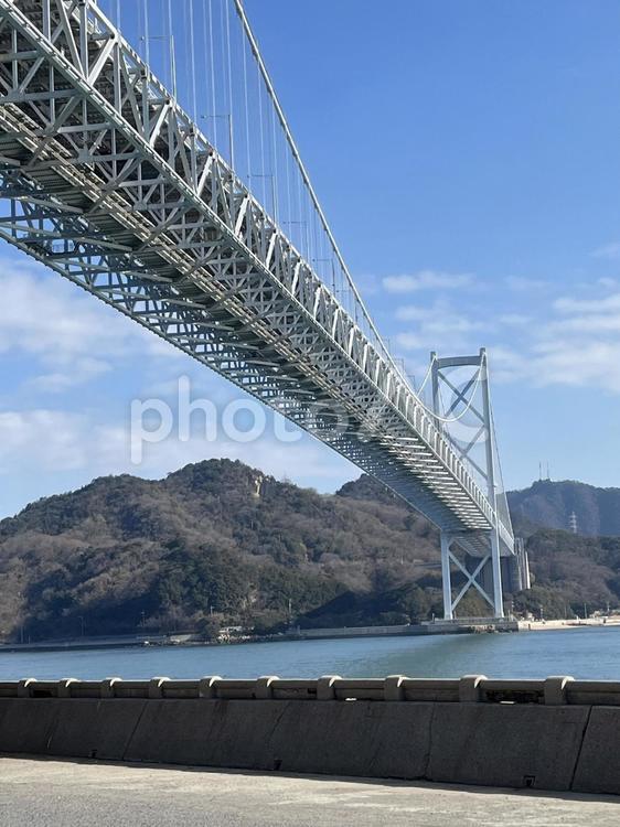橋を見上げたら 橋,海,夏の写真素材