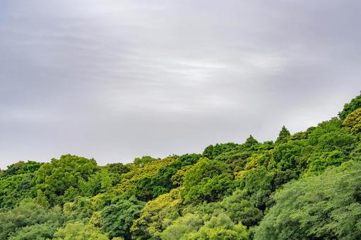 雲の多い空 雲の多い空 曇り,梅雨,曇り空の写真素材