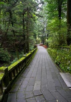 [榛名神社]神社への小道 榛名山,山道,背景の写真素材