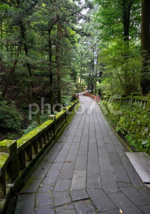 [榛名神社]神社への小道 榛名山,山道,背景の写真素材
