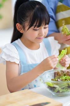 真剣な表情で料理を仕上げる少女 女の子,サニーレタス,レタスの写真素材