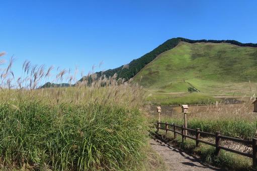 曽爾高原のすすき 10月,秋,山歩きの写真素材