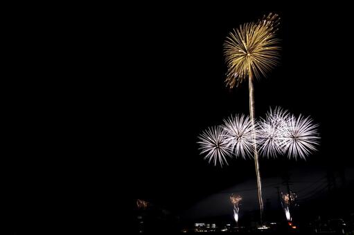 花火大会11（田原市） 花火,打上げ花火,花火素材の写真素材