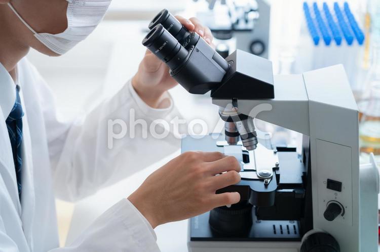 研究所で実験をする研究者 研究,実験,科学の写真素材