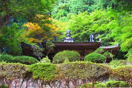 徳島県-箸蔵寺-薬師堂 徳島県-箸蔵寺-薬師堂の写真