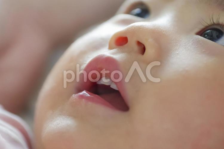 赤ちゃんのかわいい口元のアップ 歯,乳歯,口元の写真素材
