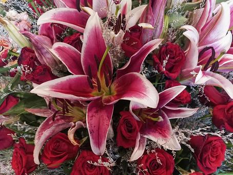 ゴージャスな大輪のユリの花とバラ ゴージャスな大輪のユリの花とバラ ユリ,百合,大輪の写真素材